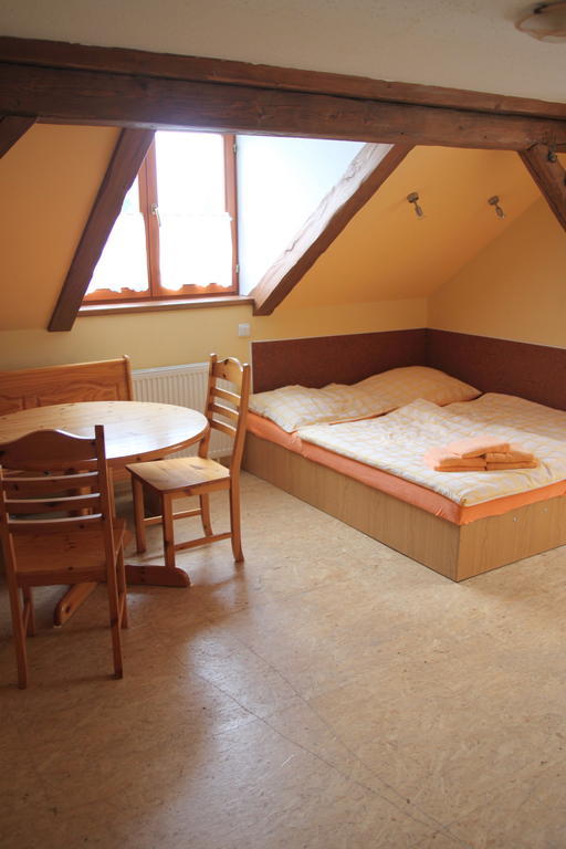 Penzion Crazy Vysoke nad Jizerou Room photo